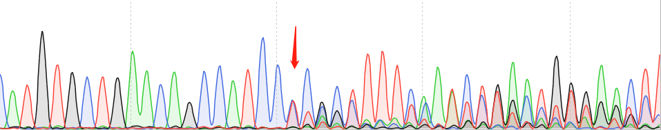 U-2 OS-CAS9 cell line Product Validation Data（RT-QPCR）